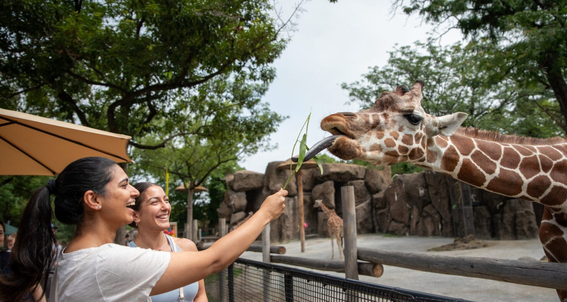 Spring Break and Easter Come Alive at Philadelphia Zoo With New Animals and Family Favorites