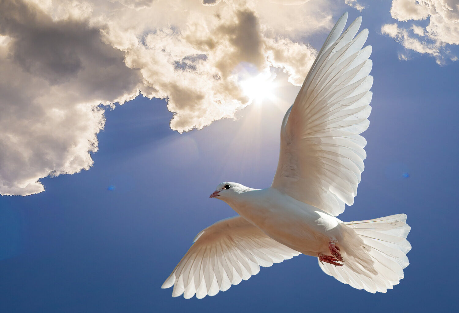 Tommy Erie Gaddis | Laclede County Record