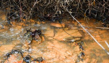 Why almost 67% of Allegheny County streams are ranked as impaired by the state