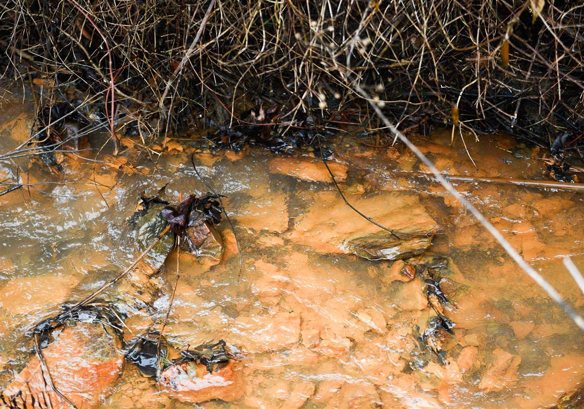Why almost 67% of Allegheny County streams are ranked as impaired by the state