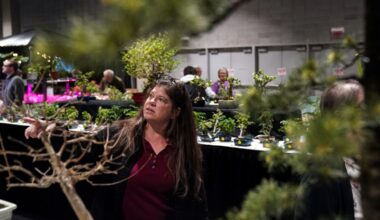 Pittsburgh Home & Garden Show returns for 44th year