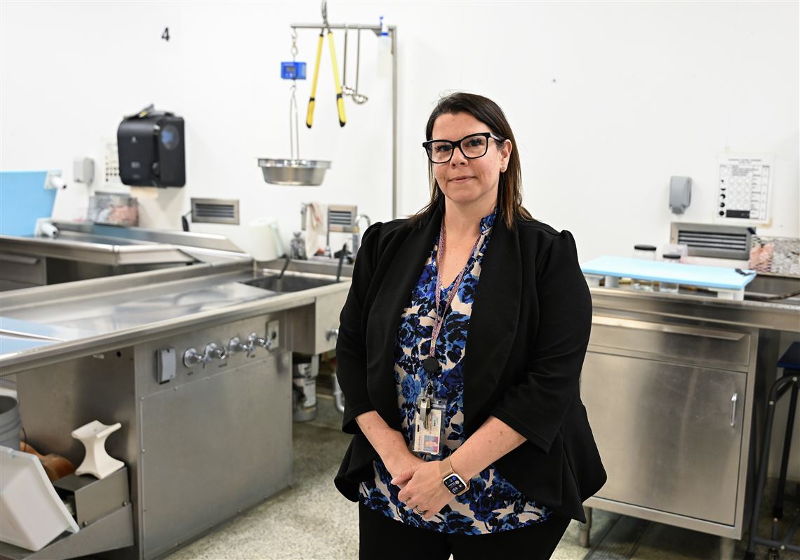 Looking for answers: 6 unidentified people in Allegheny County