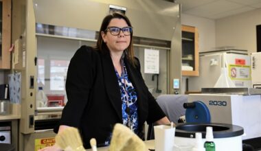 Investigative genetic genealogy helps identify Allegheny County Jane and John Does