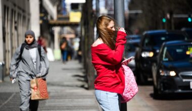 Pittsburgh weather: High wind warning in effect as more than 100K lose power