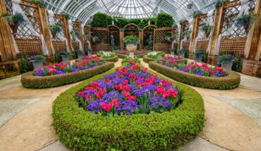 Phipps Conservatory shows its 'True Colors' in Spring Flower Show