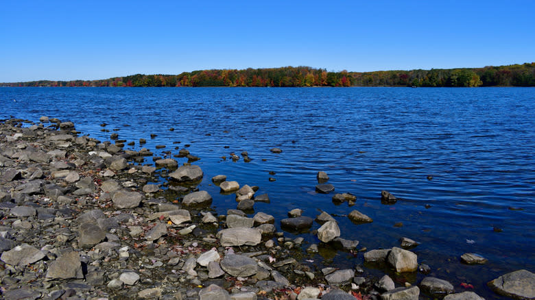 the shoreline of the Pymatuning Reservoir in Pymatuning State Park in Western Pennsylvania
