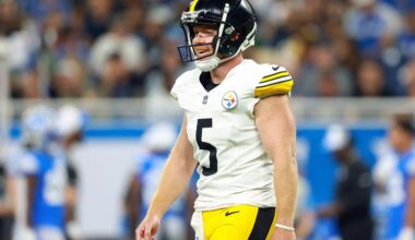 Steelers sign familiar face at punter