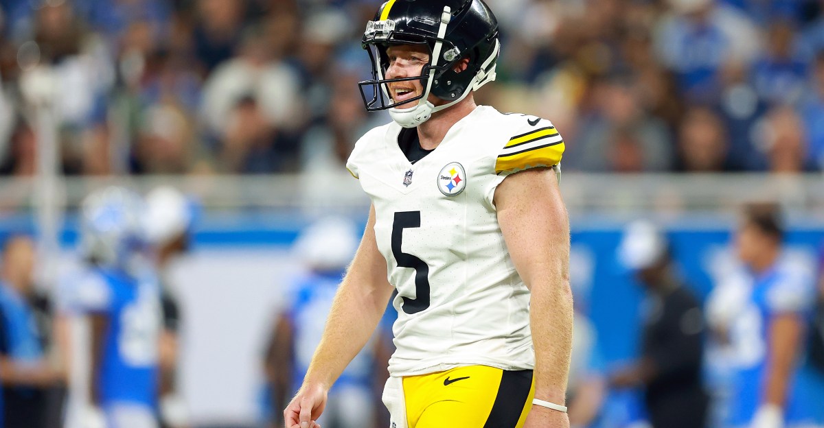 Steelers sign familiar face at punter