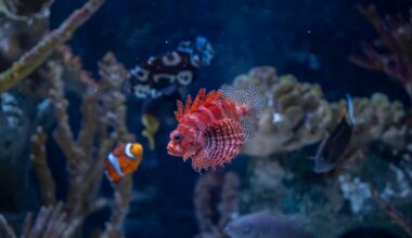 Pittsburgh Zoo wants to build new aquarium on North Shore