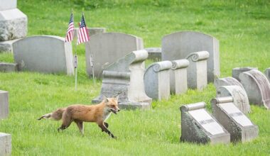 You might be surprised what’s living in Philly. This event asks you to find it