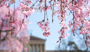 Pay-what-you-wish Friday nights return to the Philadelphia Museum of Art this spring