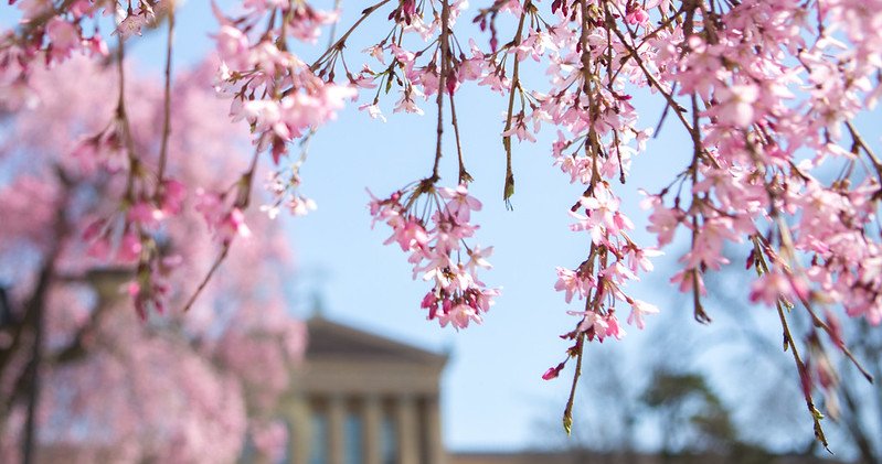 Pay-what-you-wish Friday nights return to the Philadelphia Museum of Art this spring