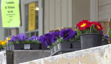 Yahoo lifestyle home