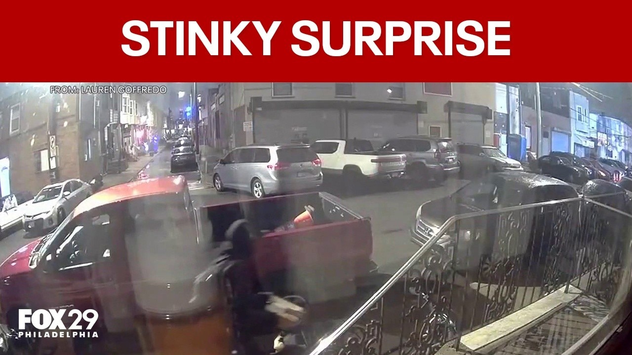 South Philly couple uses dog's waste to set trap for package thieves