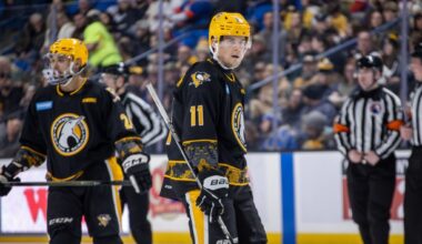 Hallander thankful to be playing hockey again – Scranton Times-Tribune