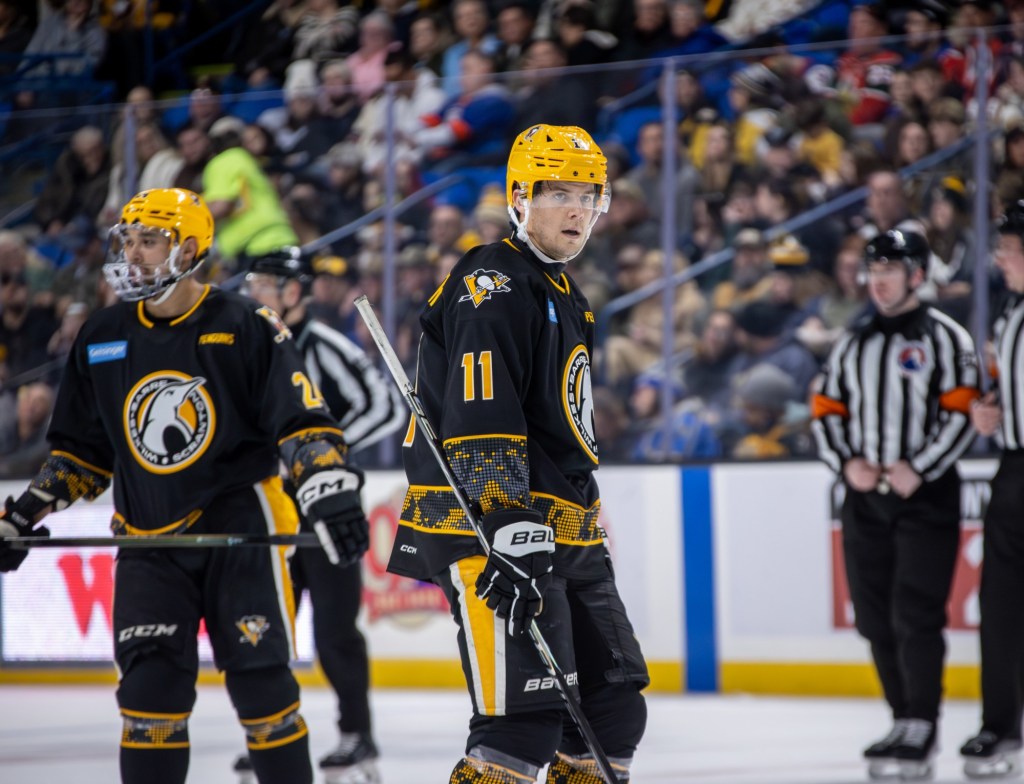 Hallander thankful to be playing hockey again – Scranton Times-Tribune