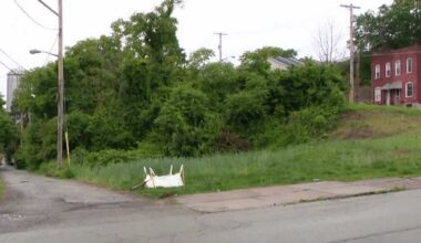 URA still working with affordable housing developer despite financial problems, delays