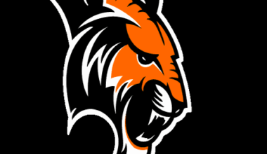 Erie Takes Down Rock Canyon in a Playoff Battle