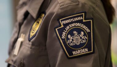 Dog wardens to conduct license, rabies compliance checks in Berks County | Berks Regional News