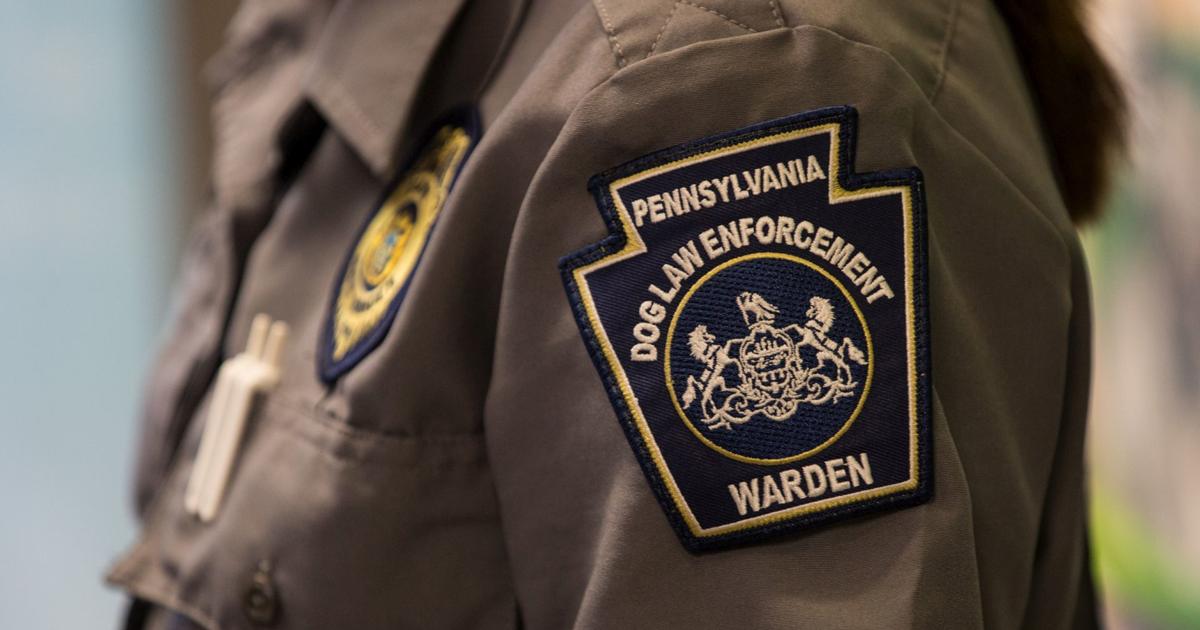 Dog wardens to conduct license, rabies compliance checks in Berks County | Berks Regional News