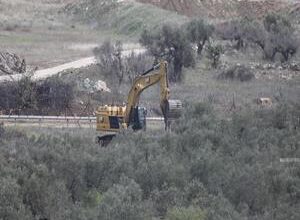 Israeli forces uproot hundreds of olive trees near Bethlehem