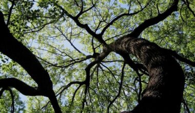 Reading District Libraries bring back accessible Nature Stroll & Roll events | Reading Area