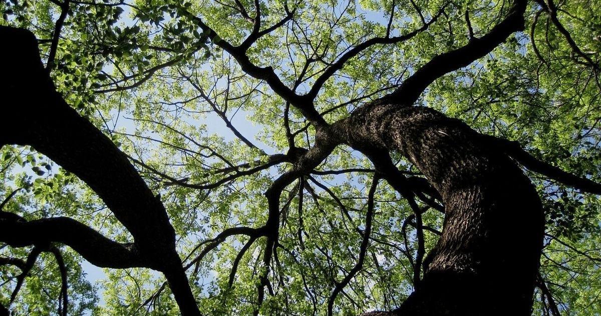 Reading District Libraries bring back accessible Nature Stroll & Roll events | Reading Area