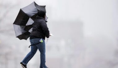 Strong winds induce weather and Lake Erie shoreline advisories in Windsor-Essex