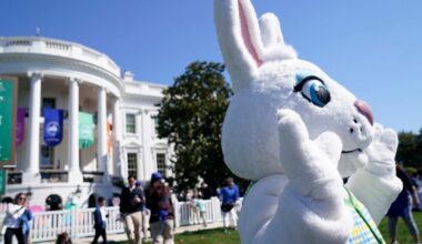 Easter Bunny's American origins can be traced right back to Pennsylvania | News