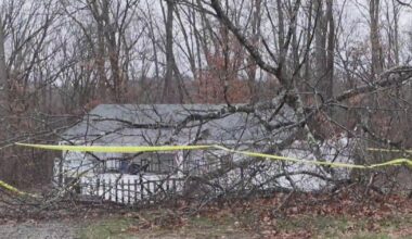 West Deer Township community steps up after tree falls onto baseball field concession stand