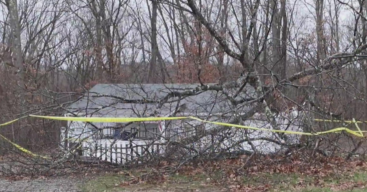 West Deer Township community steps up after tree falls onto baseball field concession stand