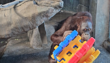 Erie Zoo Opens for the Season | Local News