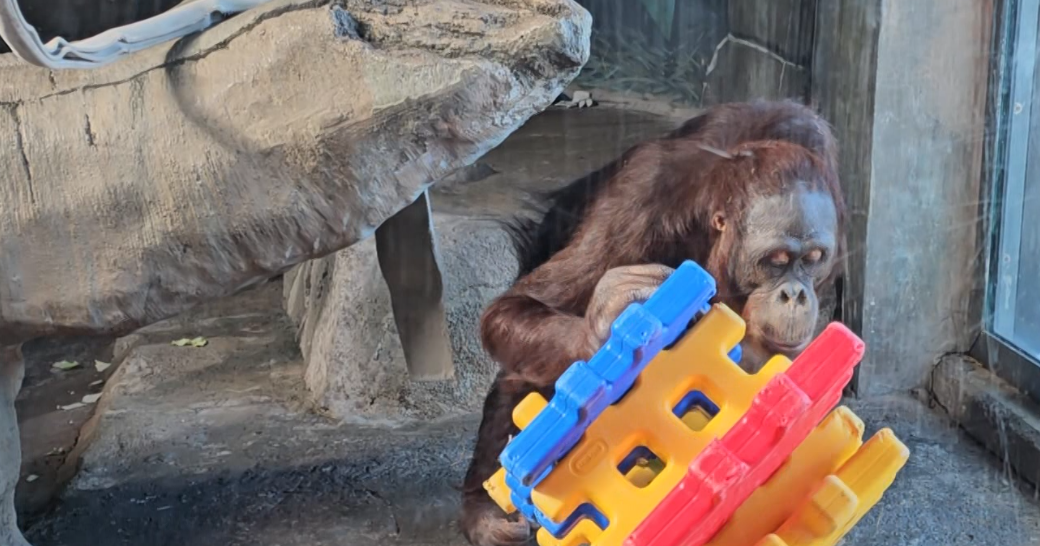 Erie Zoo Opens for the Season | Local News