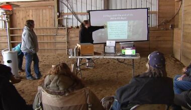 Coopersburg hosts beginner bee-keeping class with Awckland's Sugar Shack | Allentown Area