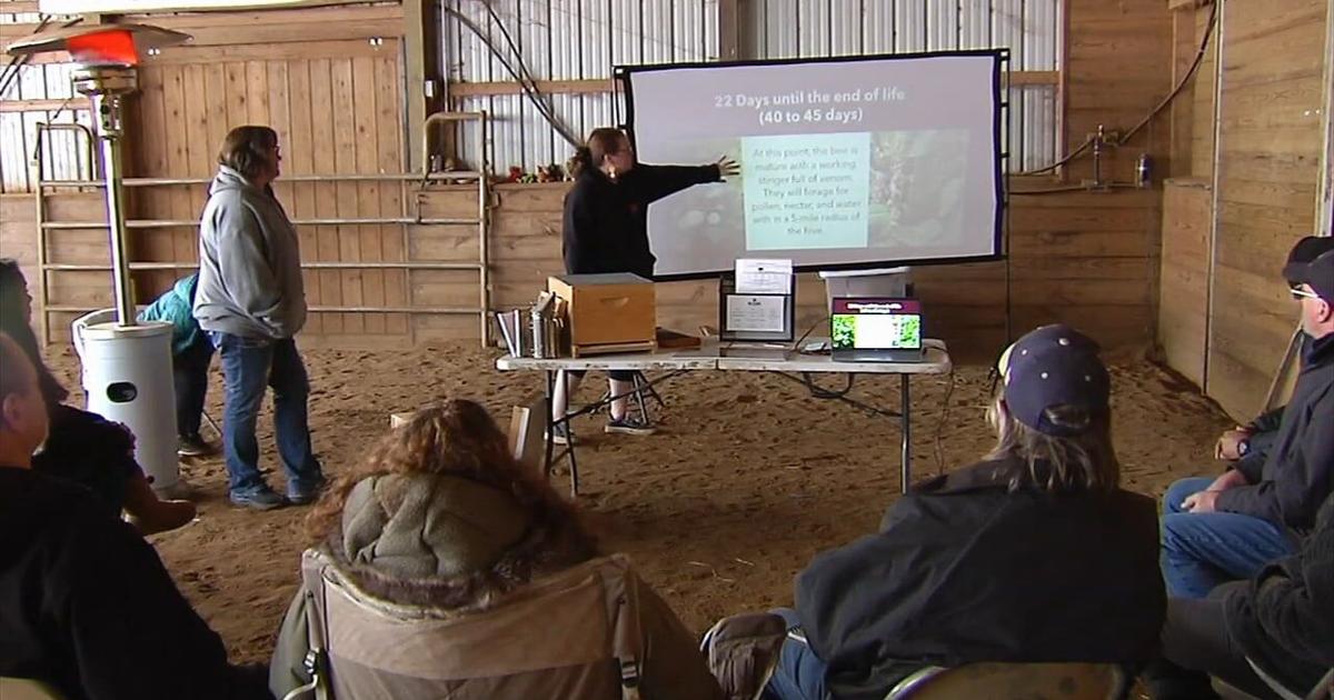 Coopersburg hosts beginner bee-keeping class with Awckland's Sugar Shack | Allentown Area