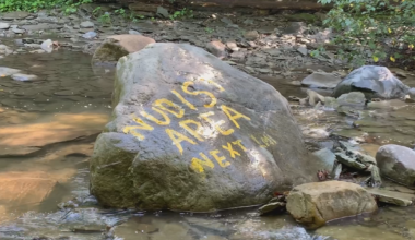 The Last Word: Celebrating Five Years of The Last Word | The Last Word