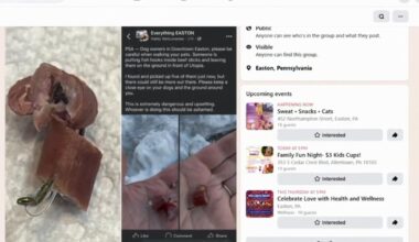 More fishhook‑stuffed treats found in Easton weeks after arrest, police warn | Easton Area