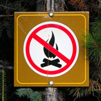 Pennsylvania State Forests Under a Burn Ban | News