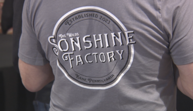 Sunflowers to Spirits: New Rum Takes Root in Erie County | News