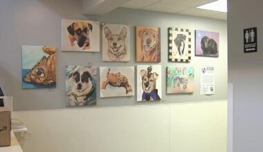 Pet portrait fundraiser turns animals into works of art | Berks Regional News