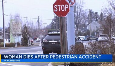71-year-old woman dies after being struck by car in Wyomissing | Berks Regional News
