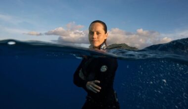 Marine conservationist with Berks ties takes love of sharks on tour | Berks Regional News