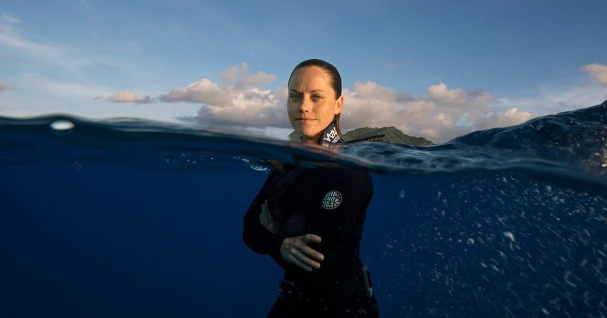 Marine conservationist with Berks ties takes love of sharks on tour | Berks Regional News