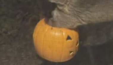 Pittsburgh community concerned after deer spotted with Halloween bucket stuck on its head | News