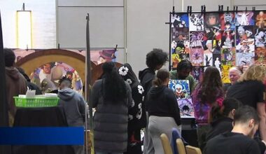 Japanese animation enthusiasts gather for Anime Fest at Reading's Double Tree hotel | Reading Area
