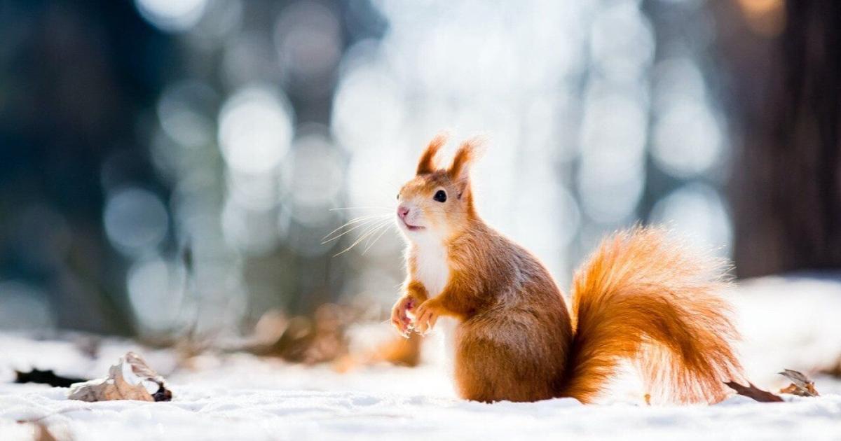 Coldest Marches in Pennsylvania since 1895 | State