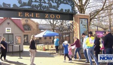 Giving You the Business: The Erie Zoo | Featured