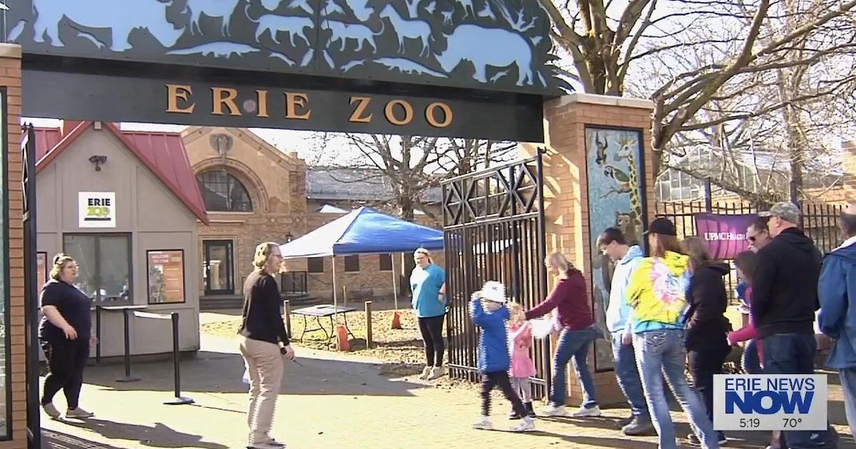 Giving You the Business: The Erie Zoo | Featured