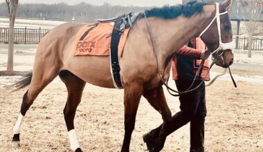 Forgiveness, hope and a racehorse named Ephrem: Faith on the fringes of Philadelphia | Southeastern Pennsylvania