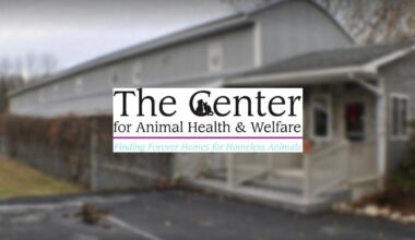 Easton area animal shelter expands with kennel acquisition | Easton Area
